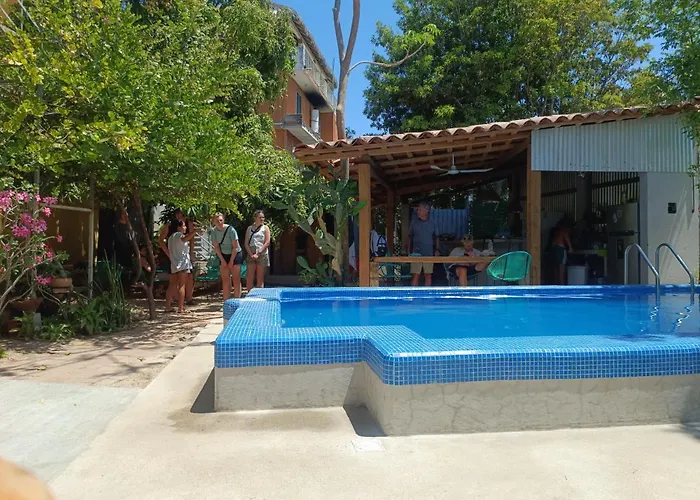 Cheap hotel: Paziflora Hostel -Starlink-