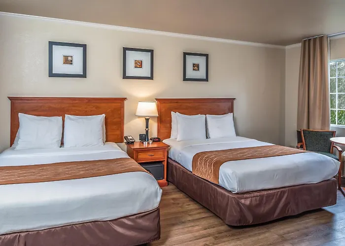 The Inn At 1252 Monterey