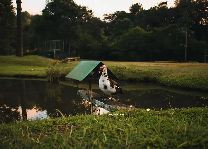 Hotel barato: Pousada Roehsler