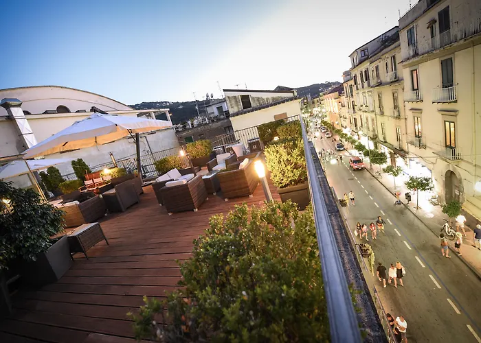 Pet Friendly hotel: Hotel Sorrento City