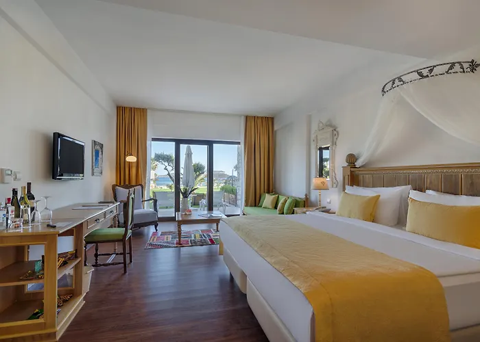 Cocos The Club Solto