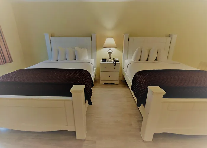 Hotel que aceita animais de estimação: Hollywood Celebrity Hotel