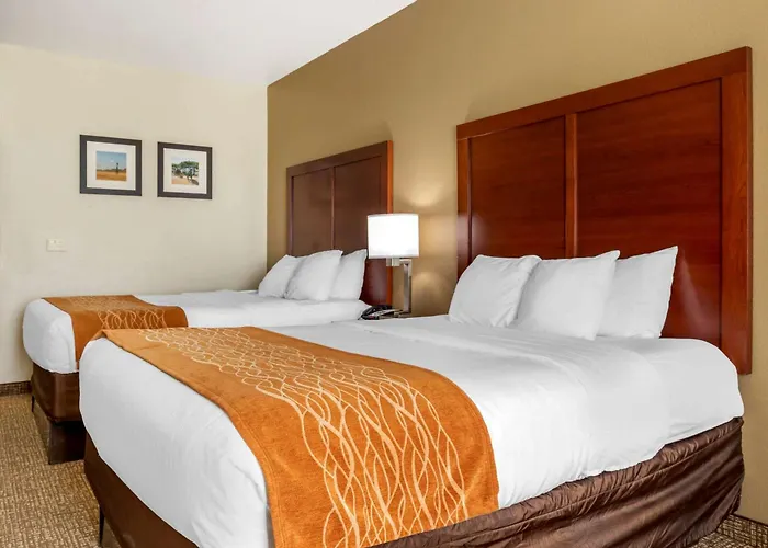 Comfort Inn Near Unt