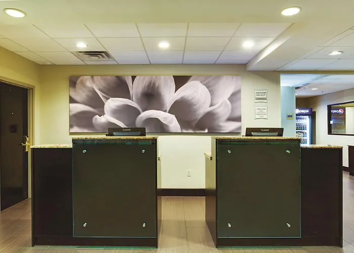 Comfort Inn & Suites Tampa North I-75