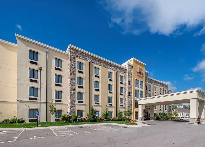 Cheap hotel: Comfort Suites Columbus Airport
