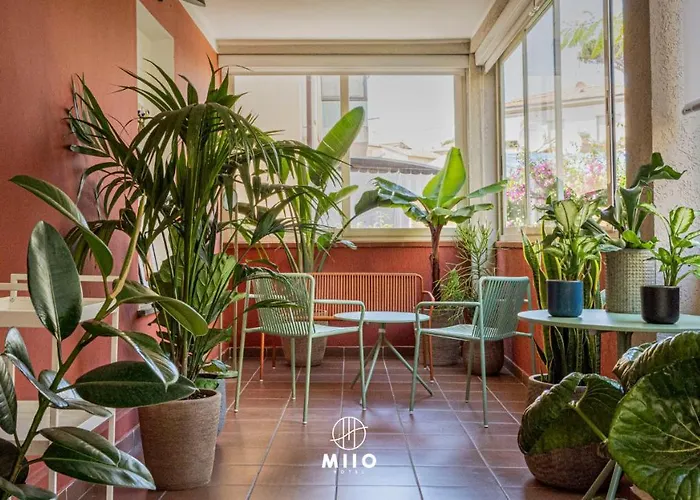  Miio