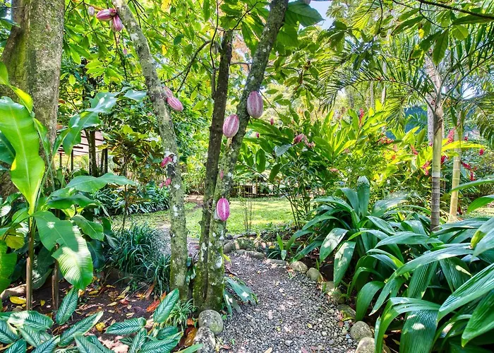 Villas Pina - Adults Only