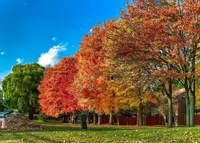 Villa: Waterfront Royal Villas