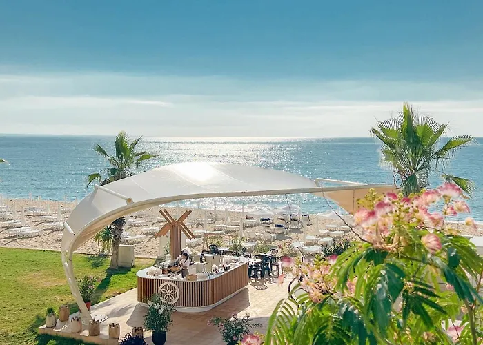 Sentido Marea
