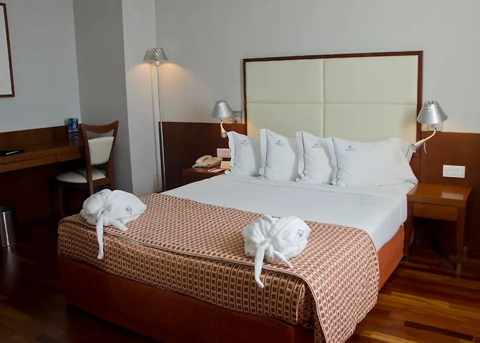 Vip Executive Arts Hotel
