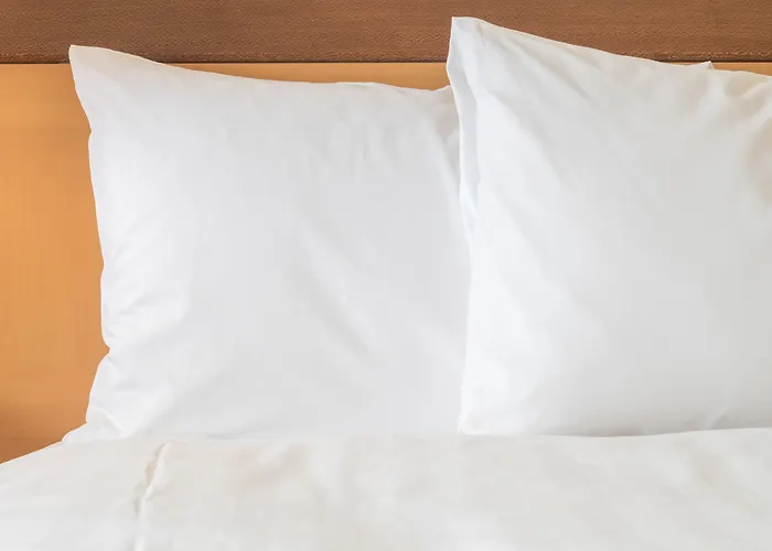 Hotels With Four Stars Crowne Plaza Syracuse, An Ihg