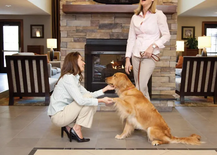 Dog friendly hotels Staybridge Suites College Station By Ihg