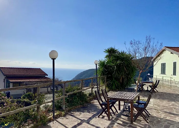 L'Ulivo E Il Mare