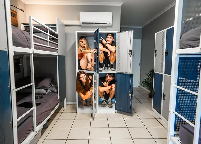 Hotel near College: Mad Monkey Jungle