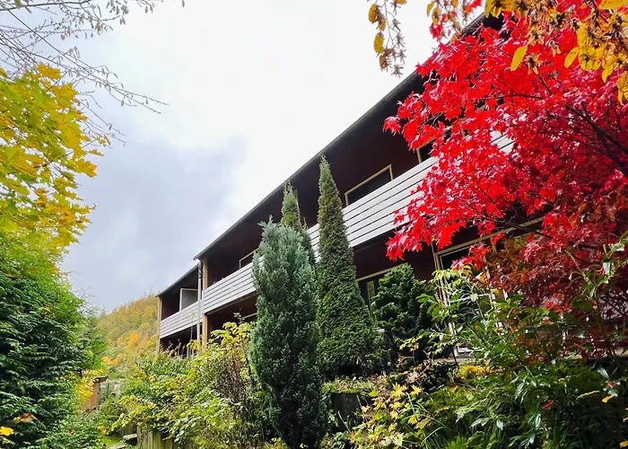 Vor lauter Bäumen B&B