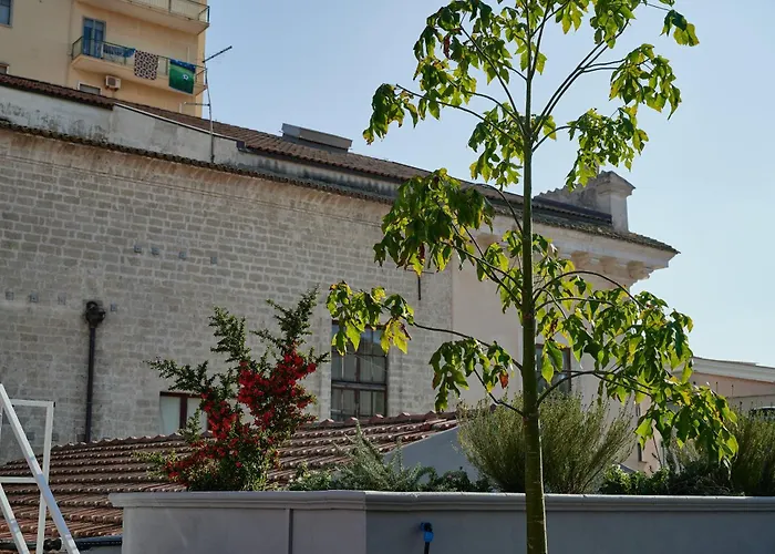 Mamaco Centro