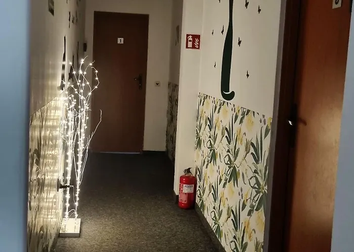 Herberge: Green Cat Rooms