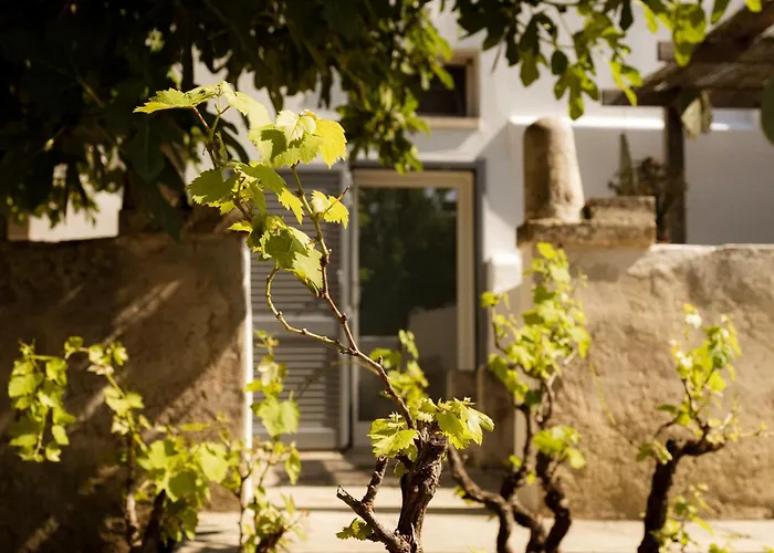 Hotel sulla spiaggia: Casale alle Vigne