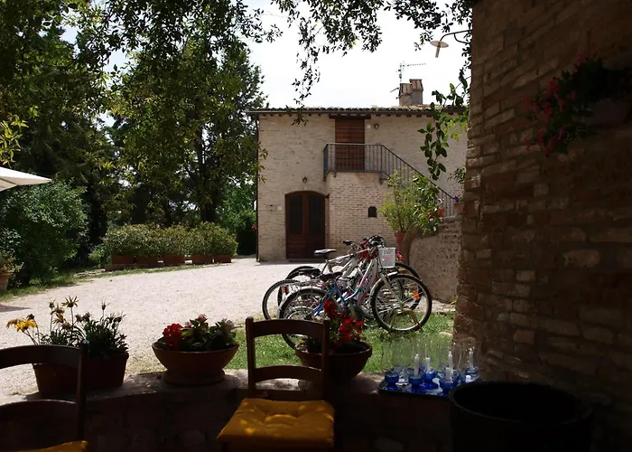  Camiano Piccolo