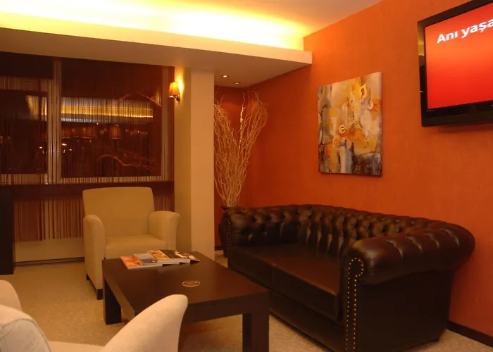 3 sterren hotel: Hotel Abro Necatibey