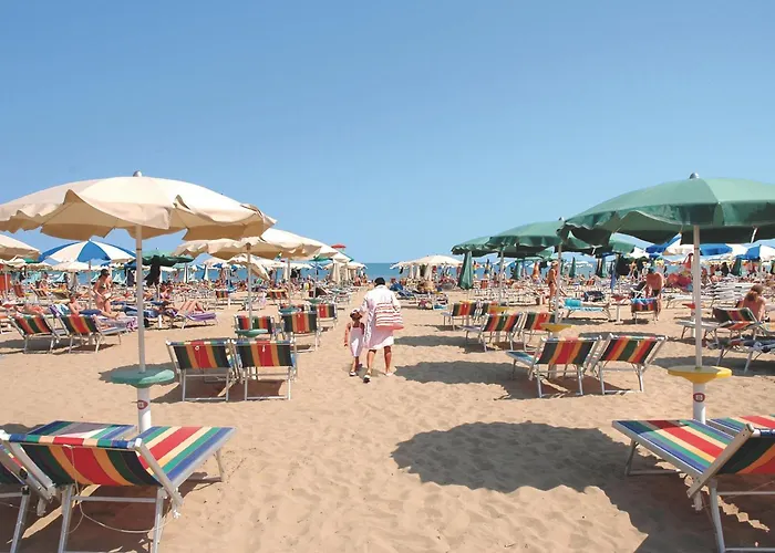 Hotel adatto agli animali: Hotel Elvia