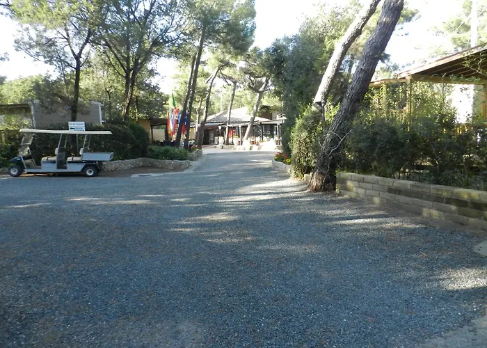 Goedkoop hotel: Camping Casa Di Caccia