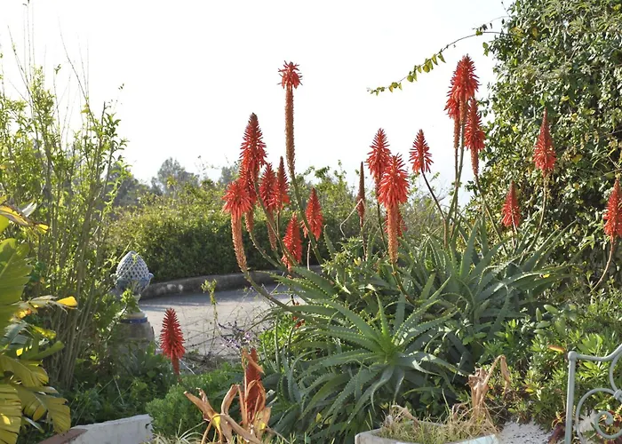 Quinta De Sao Filipe Cabana