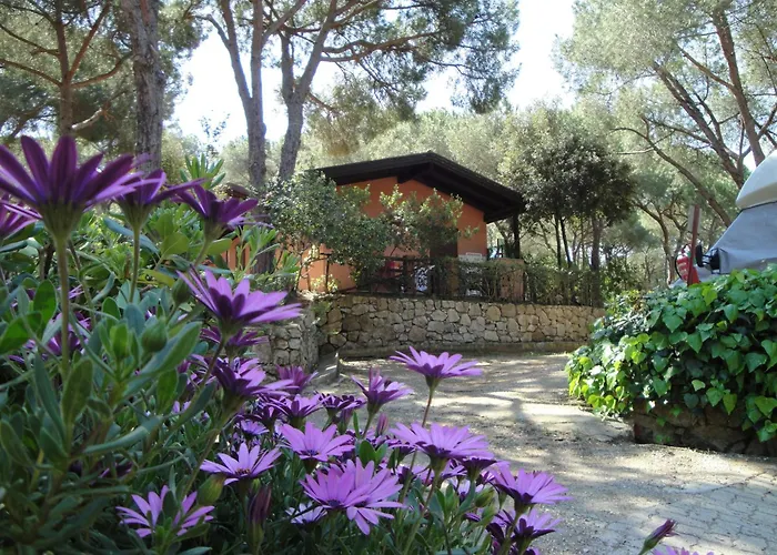 Camping Lacona Pineta