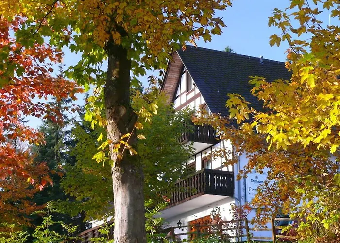 Stiegelmeier
