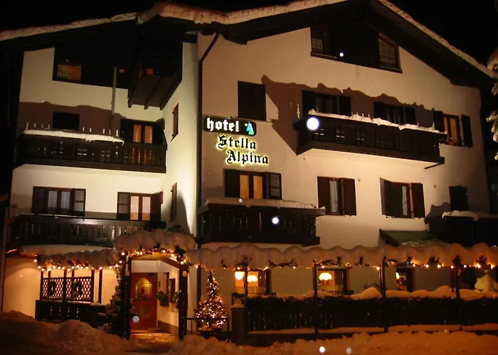 Stella Alpina