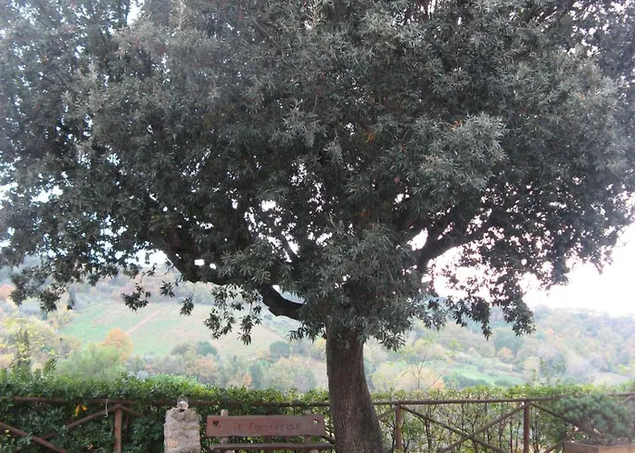 Garden Relais Le Fontanelle