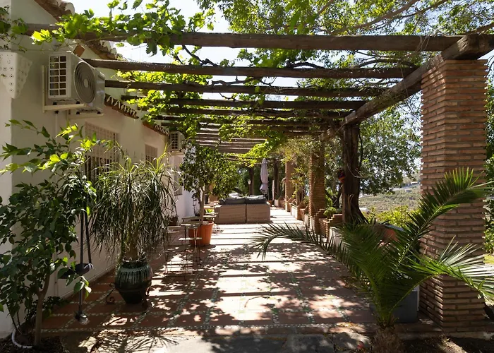 La Casa Del Burro