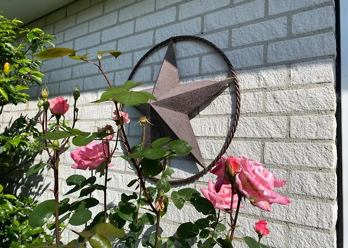 Lonestar Appartement