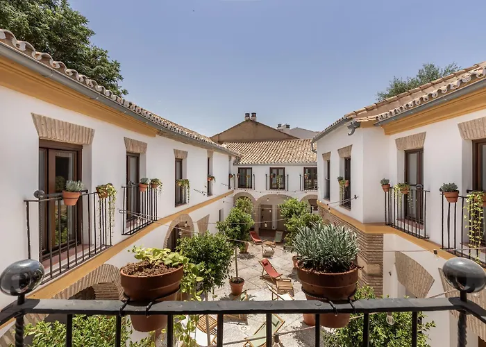Dog friendly hotels Cats Cordoba