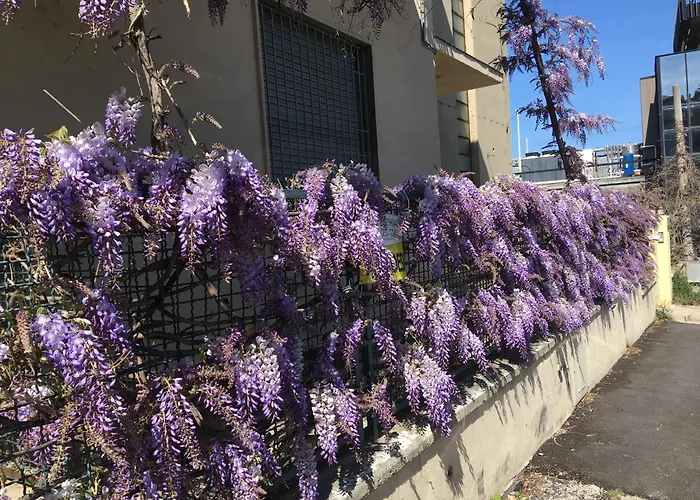 Hotel con vista: Appartamento il Glicine Pescara Centro