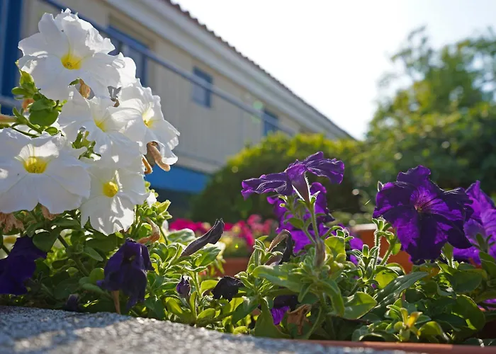 Green Bungalows Hotel Apartments