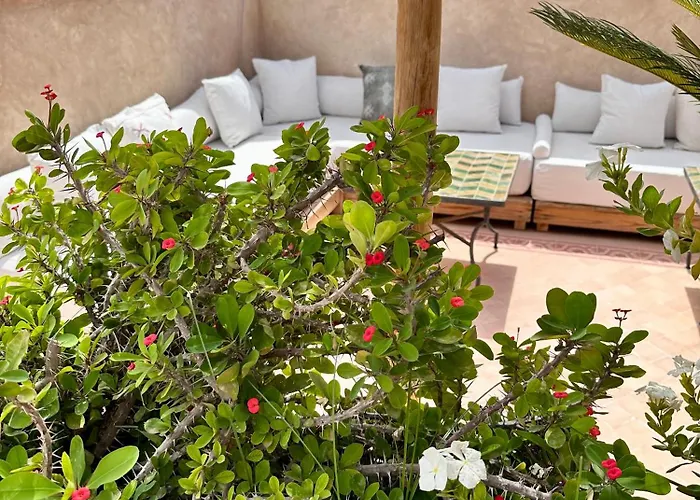 Hotel with pool: Riad Hadika Maria