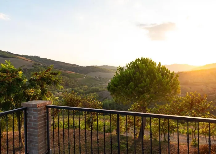 Glamping immerso in un uliveto biologico secolare