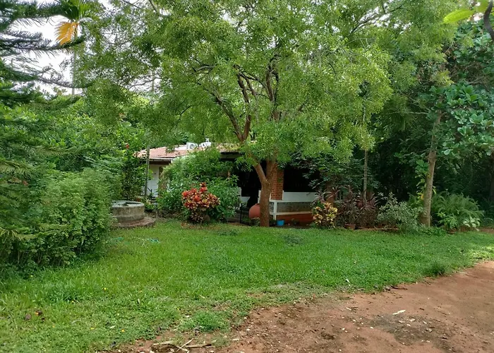 Inn Pondiville Forest Retreat