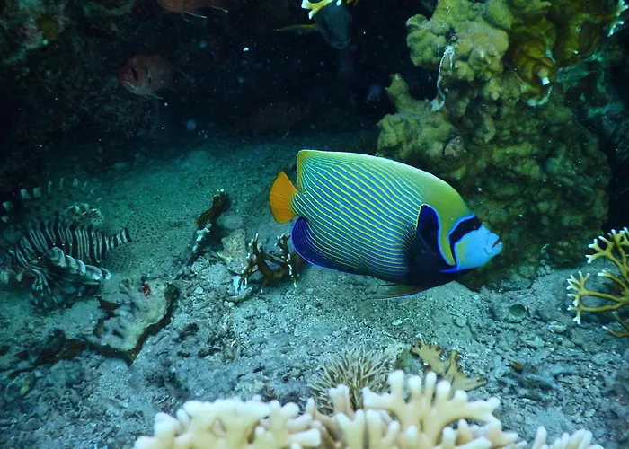Swisstouch Oriental Resort