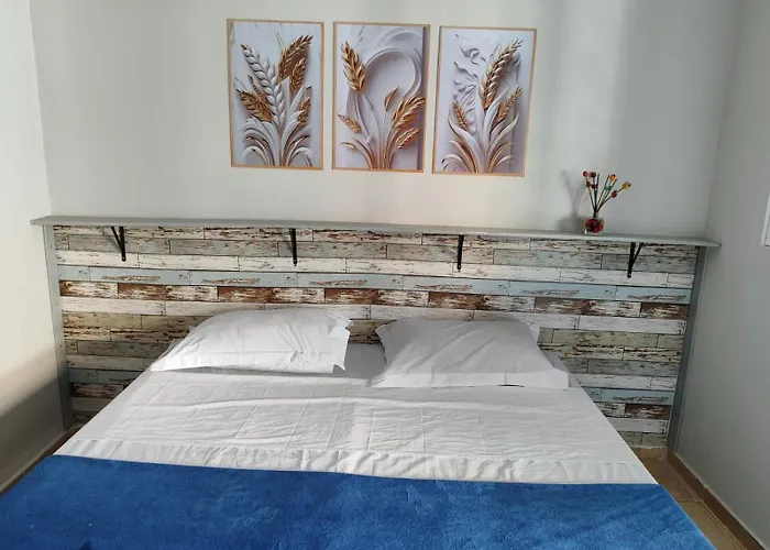 Alpha Hospedaria&Hostel