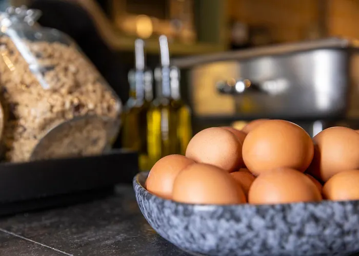 Goedkoop hotel: Tourist Inn Hotel Amsterdam