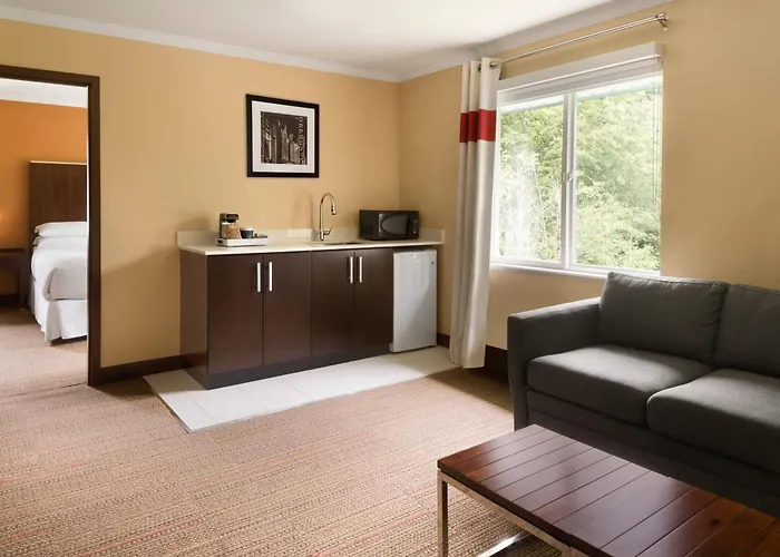 Pets Allowed Hotel Four Points By Sheraton Surrey