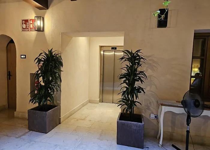 Hemd s Puerta Real Boutique