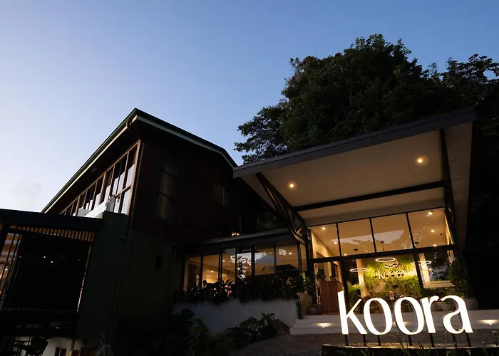 Koora A Cloud Forest By Sandglass
