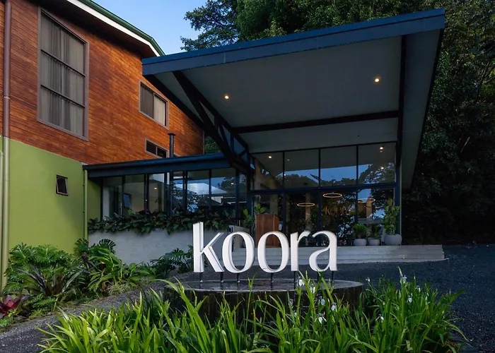 Koora A Cloud Forest By Sandglass