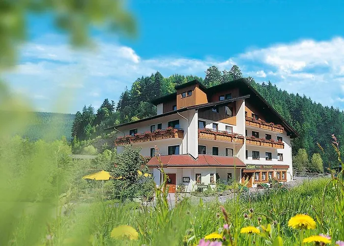 3 SterneHotel Sackmanns Wanderhotel Löwen