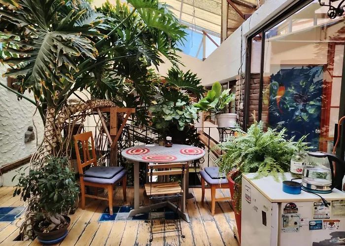 Pet Friendly hotel: Hostal Mexico Airport Cdmx