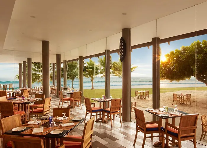 Hikka Tranz By Cinnamon