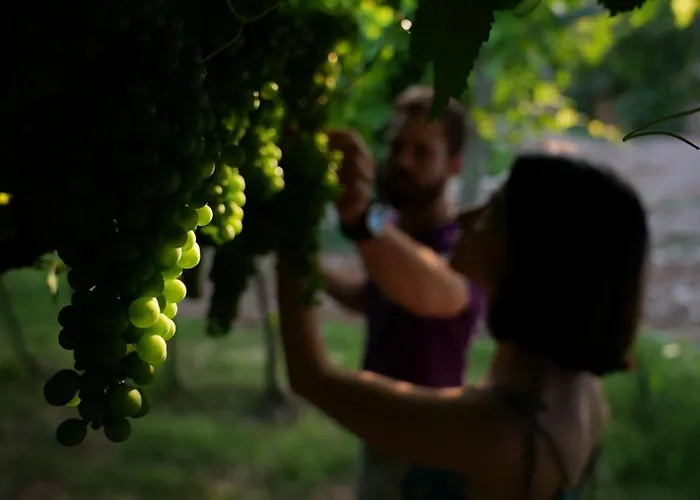 Private Villa: Agriturismo Ai Dossi